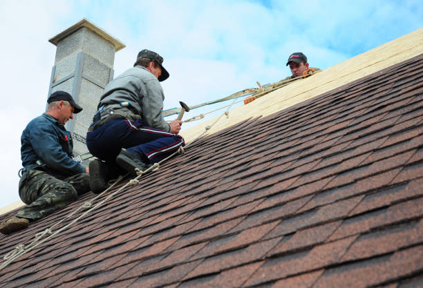 Best Residential Roofing Contractor  in Carpentersvle, IL